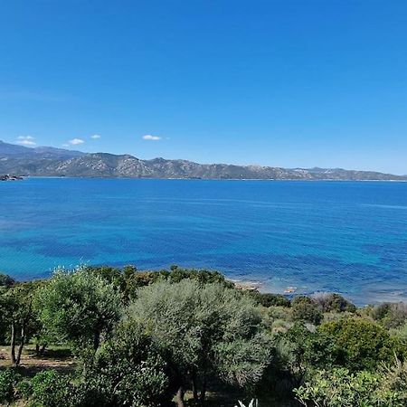 Appartement Sur La Baie De Saint Florent Patrimonio Luaran gambar