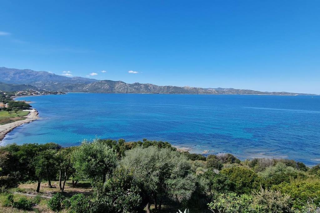 Appartement Sur La Baie De Saint Florent Patrimonio Luaran gambar