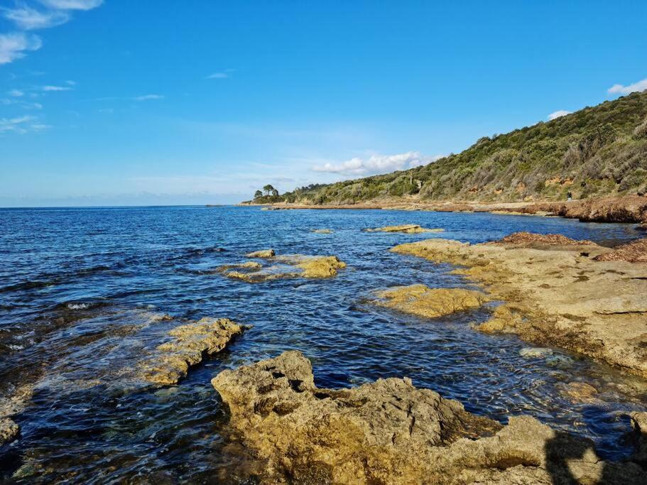 Appartement Sur La Baie De Saint Florent Patrimonio Luaran gambar