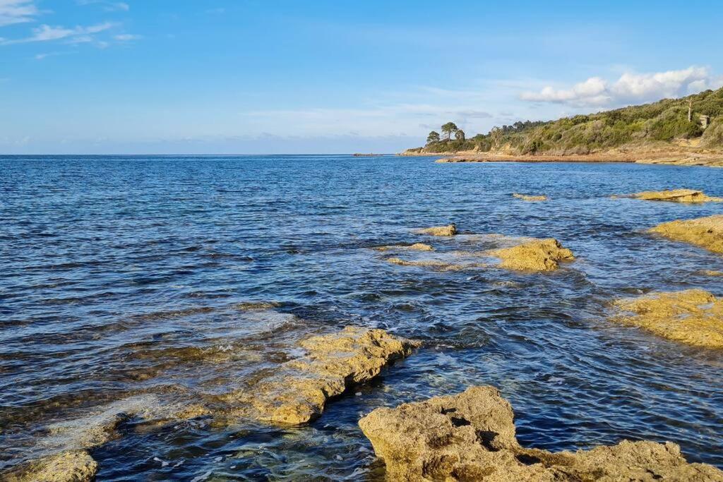 Appartement Sur La Baie De Saint Florent Patrimonio Luaran gambar