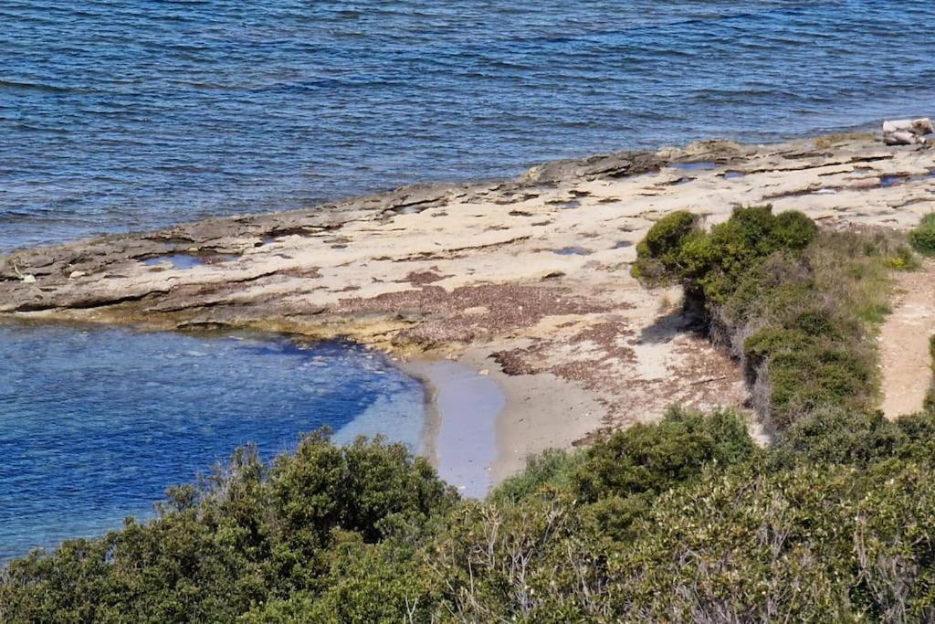 Appartement Sur La Baie De Saint Florent Patrimonio Luaran gambar