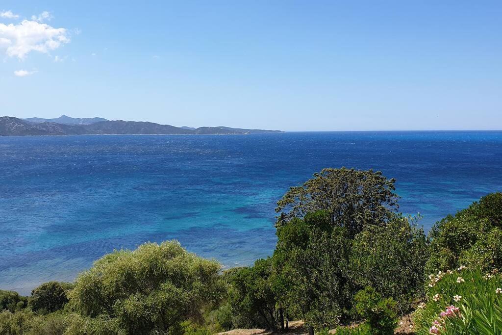 Appartement Sur La Baie De Saint Florent Patrimonio Luaran gambar