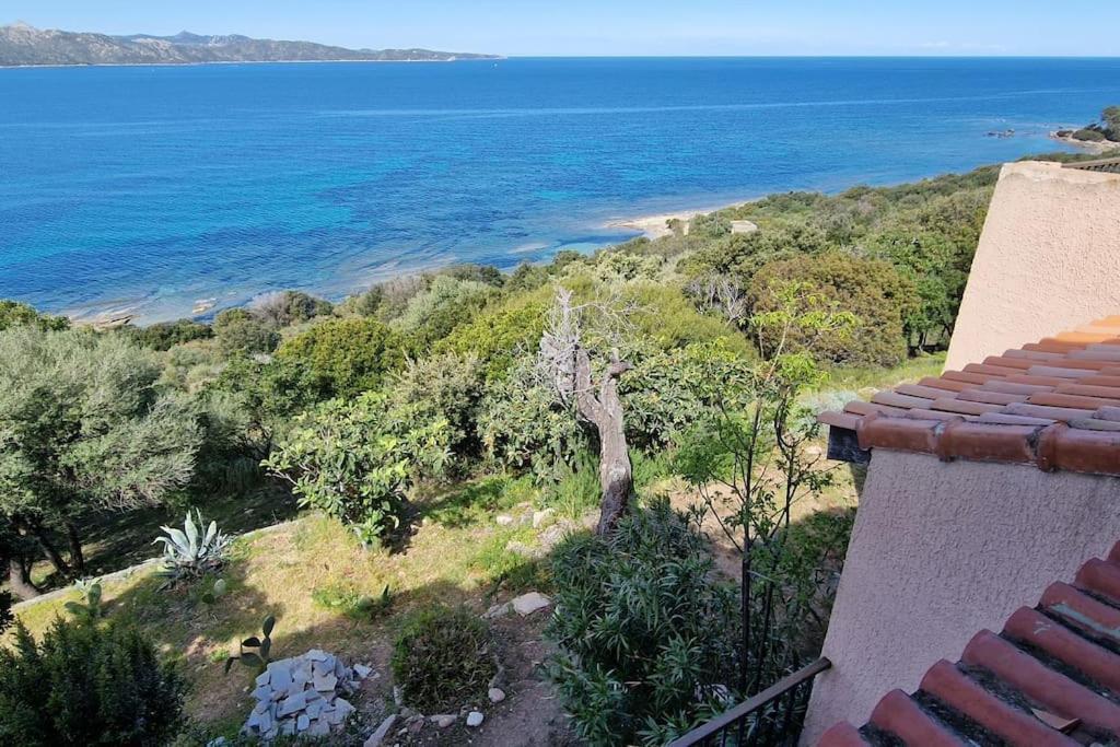 Appartement Sur La Baie De Saint Florent Patrimonio Luaran gambar