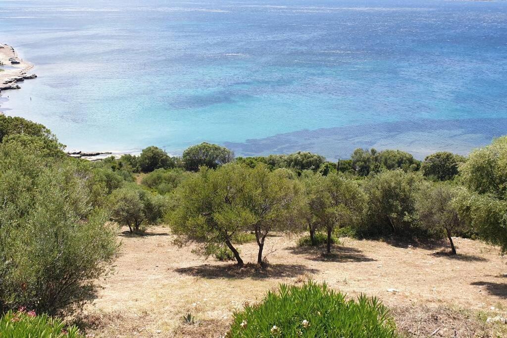 Appartement Sur La Baie De Saint Florent Patrimonio Luaran gambar
